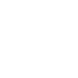  «ARYAN TRAVEL» 